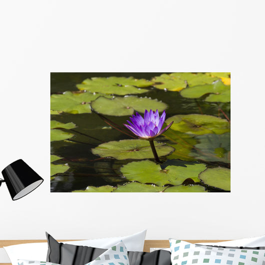 Water lily in the Bethesda Fountain in Central Park Wall Mural