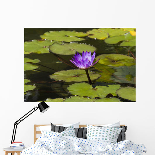 Water lily in the Bethesda Fountain in Central Park Wall Mural