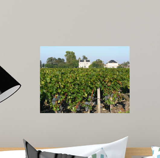 Bordeaux Vineyard