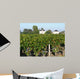 Bordeaux Vineyard