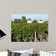 Bordeaux Vineyard
