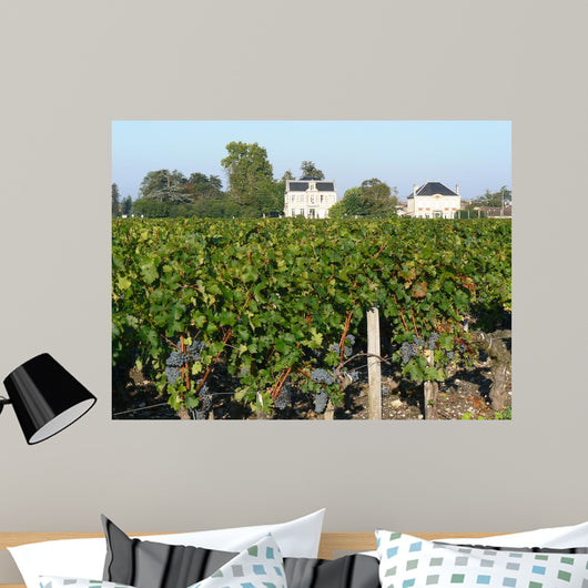 Bordeaux Vineyard