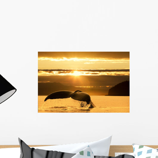 Humpback Whale Returns to Wall Decal
