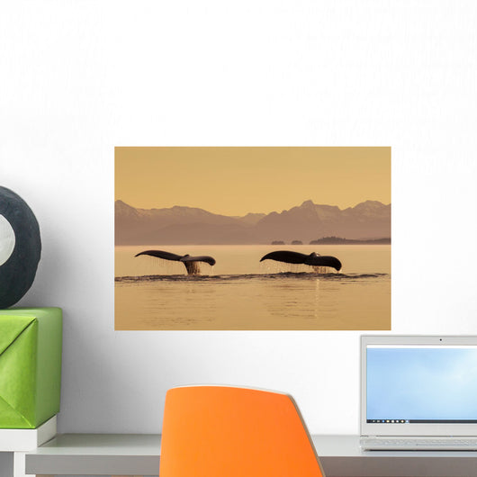 Couple Humpback Whales Lift Wall Decal