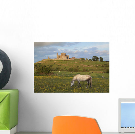 Rock of Cashel Wall Mural