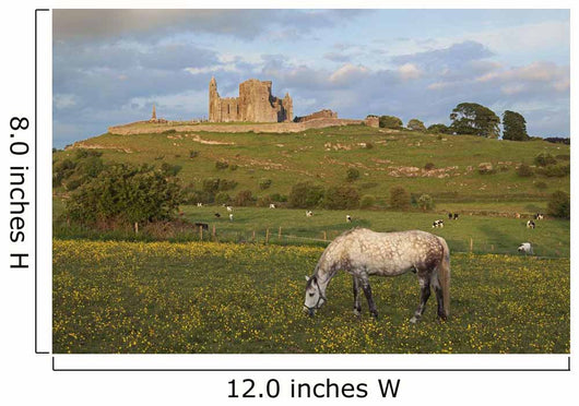 Rock of Cashel Wall Mural