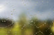 A spider's web catches rain drops Wall Mural
