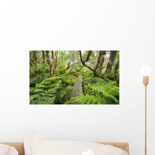 Boardwalk through Waikamoi Native Forest Preserve Wall Mural
