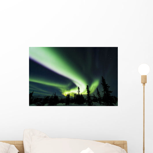 The bright neon green aurora swirling above the boreal forest Wall Mural