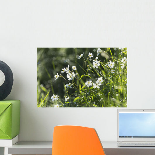 Buttercup Wall Mural