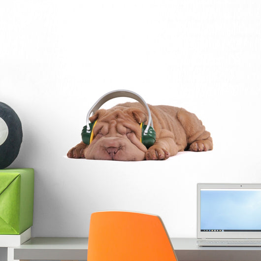 Shar-Pei Music Dreams Wall Decal