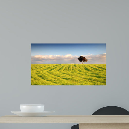 4 Season Wall Mural