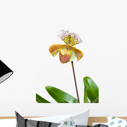 Beautiful Unique Orchid Wall Decal
