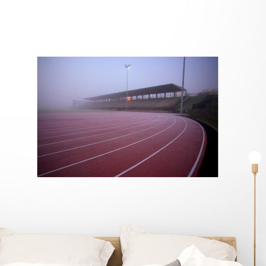 stadium Wall Mural