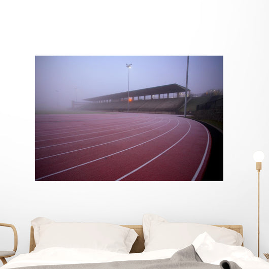 stadium Wall Mural