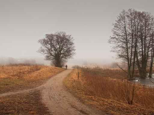 Winter Wall Decal Design 3