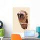 Young Long-eared Owl Wall Decal