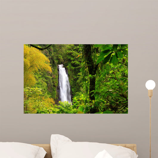 Dominican Rainforest Waterfall Wall Mural