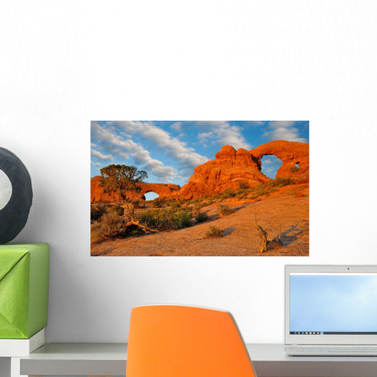 Twin Arches Wall Mural