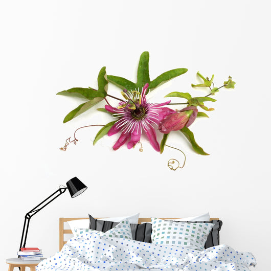 Passiflora Victoria Wall Decal