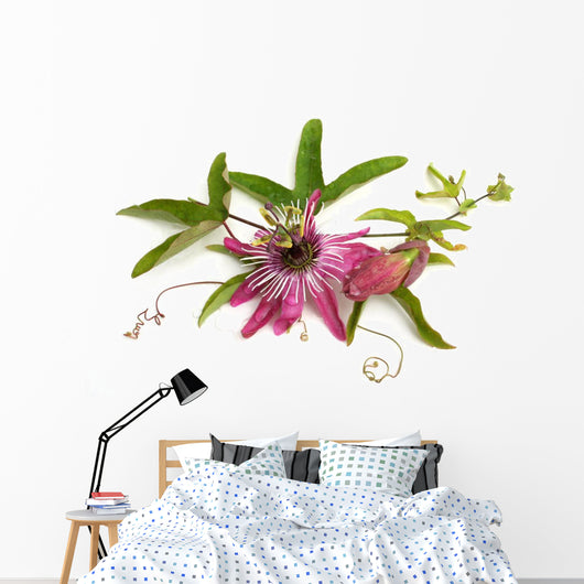 Passiflora Victoria Wall Decal