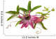 Passiflora Victoria Wall Decal