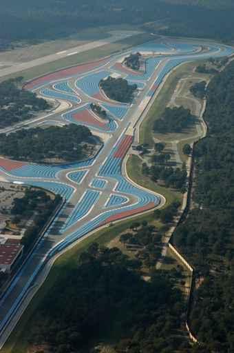 Catelet 2 Wall Decal