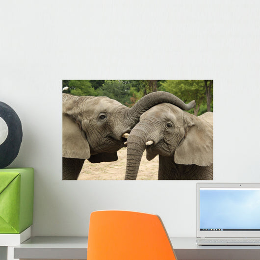 Friendly Elephants Wall Mural