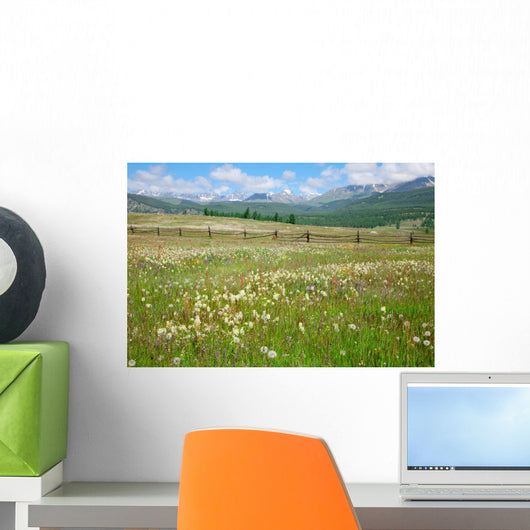 Green Summer Pasture