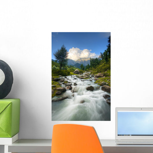 Himalayan Mountains And Stream Vertical Wall Mural