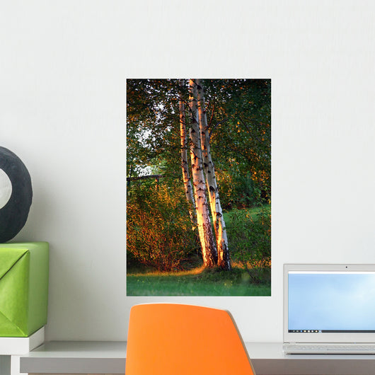 Nature Wall Decal Design 1