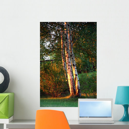 Nature Wall Decal Design 1