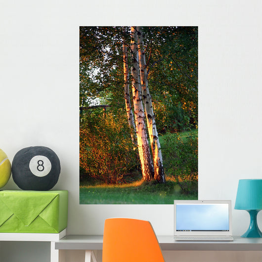 Nature Wall Decal Design 1