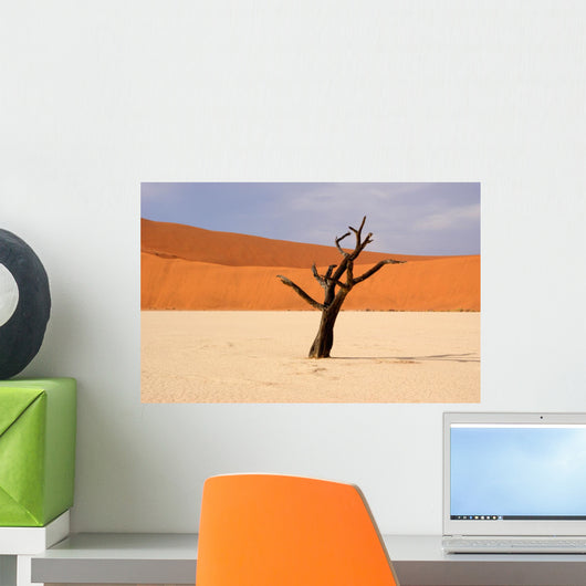 Dead Vlei