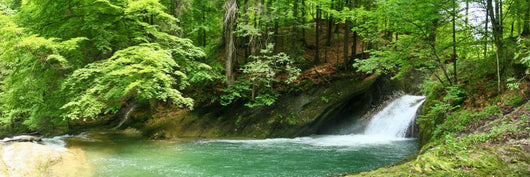 Eistobel Waterscape Wall Mural