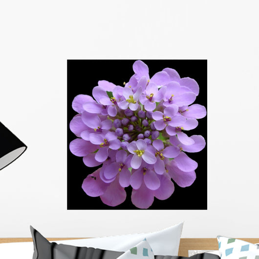 Optional Flower Wall Mural
