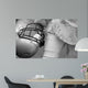 American Football Wall Mural
