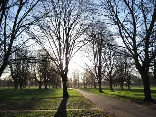 Hyde Park Wall Decal