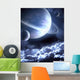 Space Wall Mural