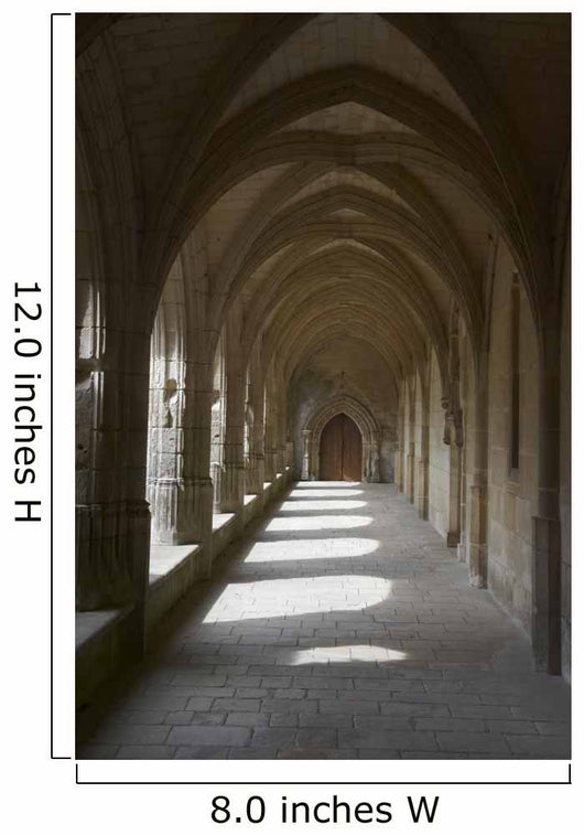 luçon Cathedral in oregon Wall Mural