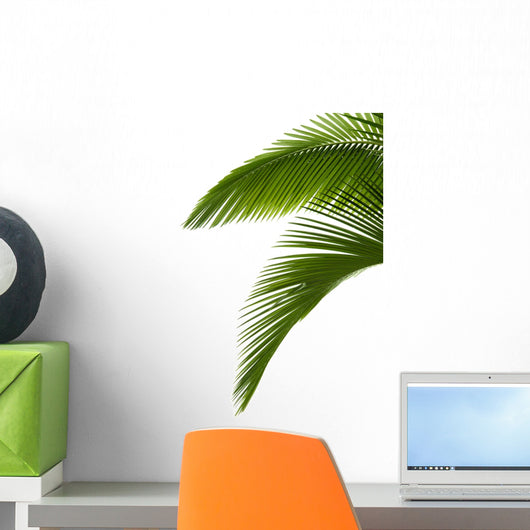 Green Palm Tree