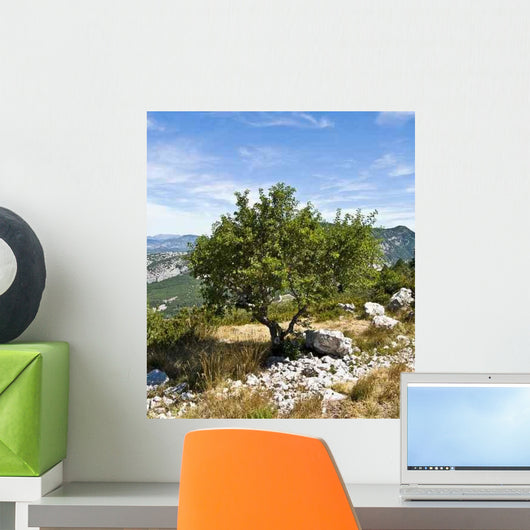 Arbre En Provence En Wall Decal