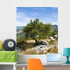 Arbre En Provence En Wall Decal