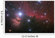 Nebular complex in Orion's Belt. Horse head, Flaming tree. Wall Mural