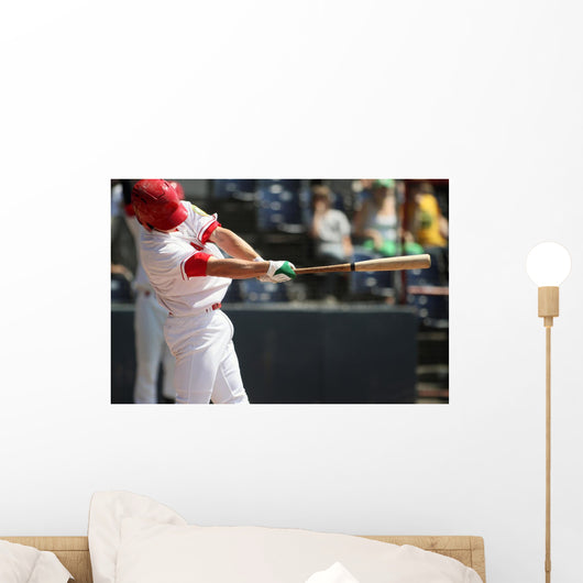 Swing Wall Mural