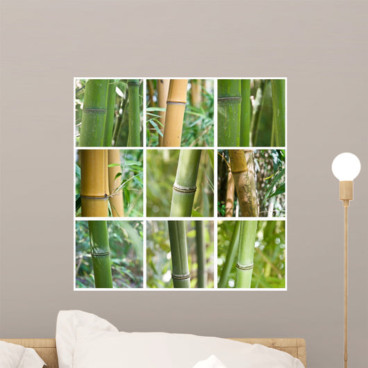 Bamboo Composition