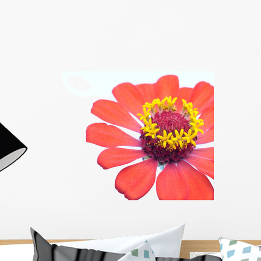 Flower Wall Mural