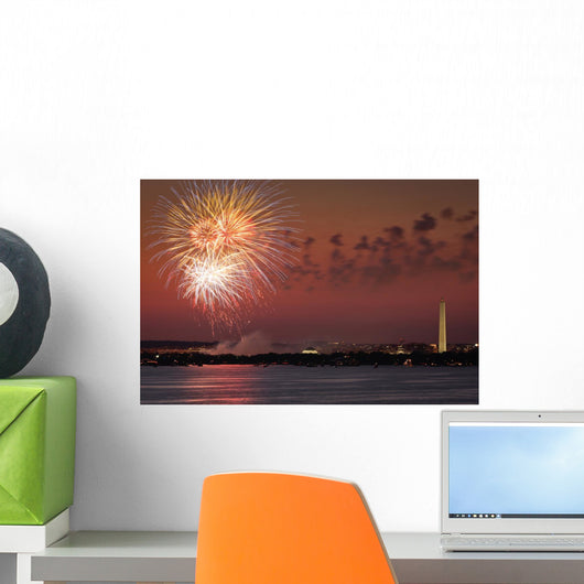 Fireworks Over Washington DC Wall Mural