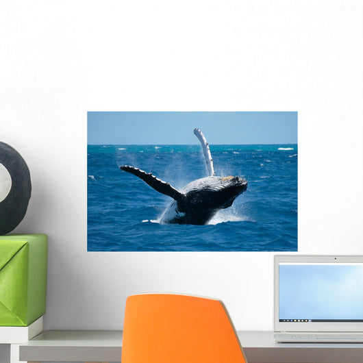 Granville Whale 2 Wall Mural