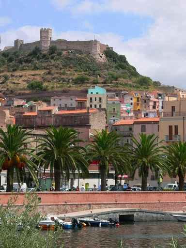 Bosa Wall Decal